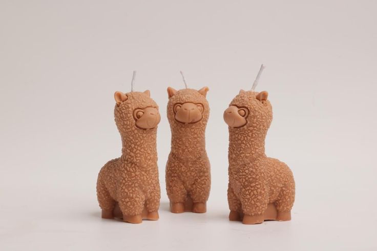 Llama